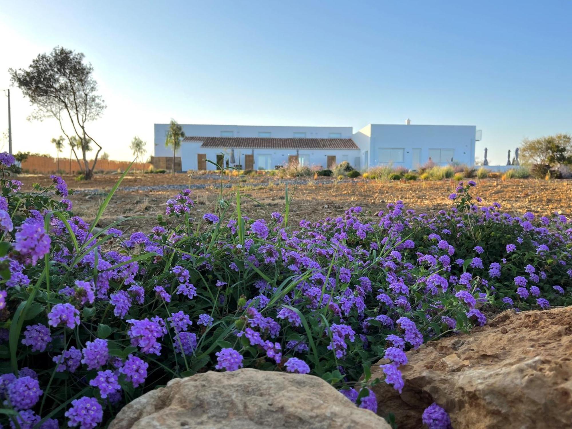 Villa Lobos Tavira Eksteriør billede